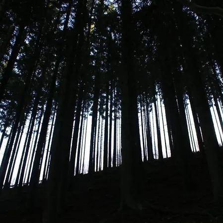 Casa vacanze Petit Wilogne In