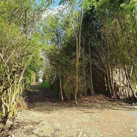 Petit Wilogne In Mont (Belgium Luxembourg)