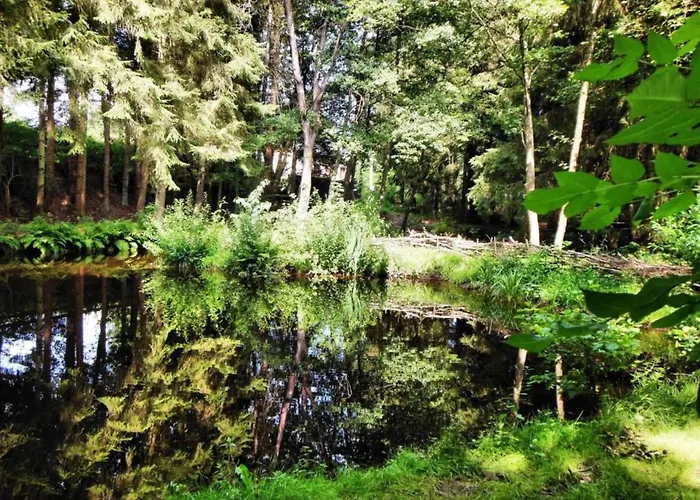 Holiday home Petit Wilogne In *