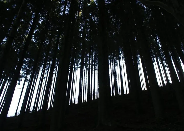 Holiday home Petit Wilogne In