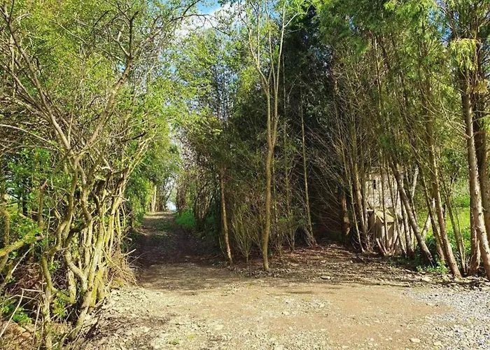 Petit Wilogne In Mont (Belgium Luxembourg)